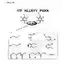 Fig. 27 - Modification of peptides via SAr reactions of thiols with fluorinated aromatics