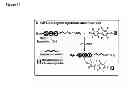 Fig. 31 - Modification of peptides via SAr reactions of thiols with fluorinated aromatics