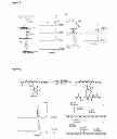 Fig. 47 - Modification of peptides via SAr reactions of thiols with fluorinated aromatics