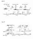 Fig. 49 - Modification of peptides via SAr reactions of thiols with fluorinated aromatics