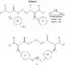 Fig. 64 - Modification of peptides via SAr reactions of thiols with fluorinated aromatics