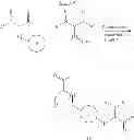 Fig. 70 - Modification of peptides via SAr reactions of thiols with fluorinated aromatics