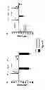 Fig. 08 - Agonists and antagonists of the urotensinergic system