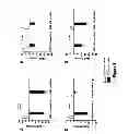Fig. 10 - Agonists and antagonists of the urotensinergic system
