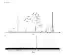 Fig. 09 - Self-assembling drug amphiphiles and methods for synthesis and use