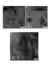 Fig. 28 - Self-assembling drug amphiphiles and methods for synthesis and use