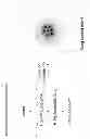 Fig. 03 - BLOCK COPOLYMERS FOR STABLE MICELLES