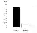 Fig. 06 - BLOCK COPOLYMERS FOR STABLE MICELLES