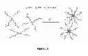 Fig. 14 - Negative-swelling and exceptionally robust adhesive hydrogels