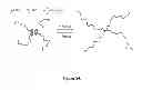 Fig. 15 - Negative-swelling and exceptionally robust adhesive hydrogels