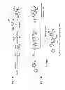 Fig. 02 - Controlled radical polymerization, and catalysts useful therein