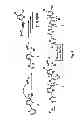 Fig. 06 - Controlled radical polymerization, and catalysts useful therein