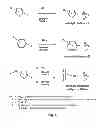 Fig. 07 - Controlled radical polymerization, and catalysts useful therein