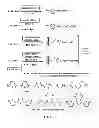 Fig. 08 - Controlled radical polymerization, and catalysts useful therein