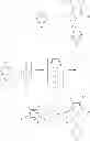 Fig. 10 - Bridged metallocene compound, olefin polymerization catalyst containing the same, and ethylene polymer obtained with the catalyst
