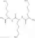 Fig. 08 - Multi-Chromophoric Quencher Constructs for Use in High Sensitivity Energy Transfer Probes