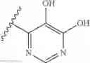 Fig. 09 - Cephem compound having pyridinium group