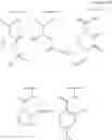 Fig. 136 - Cephem compound having pyridinium group