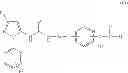 Fig. 04 - P38 MAP kinase inhibitors