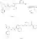 Fig. 22 - P38 MAP kinase inhibitors