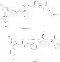Fig. 28 - P38 MAP kinase inhibitors