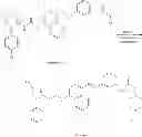 Fig. 30 - P38 MAP kinase inhibitors