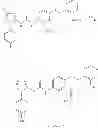 Fig. 41 - P38 MAP kinase inhibitors