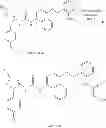 Fig. 43 - P38 MAP kinase inhibitors
