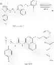 Fig. 44 - P38 MAP kinase inhibitors