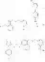 Fig. 49 - P38 MAP kinase inhibitors