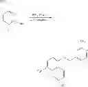 Fig. 76 - P38 MAP kinase inhibitors