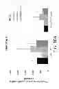 Fig. 07 - Materials and methods for repair of cartilage defects
