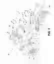 Fig. 05 - Three wheel vehicle electronic stability system and control strategy therefor
