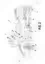Fig. 06 - Three wheel vehicle electronic stability system and control strategy therefor