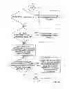 Fig. 10 - AUTOMATION OF AUDITING CLAIMS