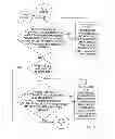 Fig. 15 - AUTOMATION OF AUDITING CLAIMS