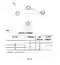 Fig. 10 - Method and Apparatus For Ranking a Customer Based on The Customer's Estimated Influence on Other Customers and The Customer's Churn Score