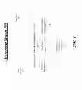 Fig. 02 - MULTIDIMENSIONAL MEASUREMENT BASIS FOR ACCOUNTING SYSTEMS