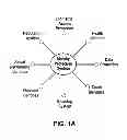 Fig. 02 - Method and apparatus for an end user identity protection suite