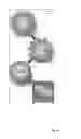 Fig. 02 - DOUBLE KNOCKOUT (GT/CMAH-KO) PIGS, ORGANS AND TISSUES