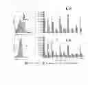 Fig. 08 - DOUBLE KNOCKOUT (GT/CMAH-KO) PIGS, ORGANS AND TISSUES