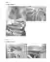 Fig. 06 - plant resistant to potyvirus