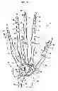 Fig. 02 - IMPACT-RESISTANT SAFETY GLOVES AND ASSOCIATED ASSEMBLIES