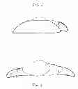 Fig. 08 - IMPACT-RESISTANT SAFETY GLOVES AND ASSOCIATED ASSEMBLIES