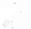 Fig. 02 - Stay Put Garment