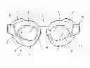Fig. 01 - Goggles