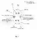 Fig. 08 - AQUEOUS CHEMICAL LEAK DETECTION CABLE
