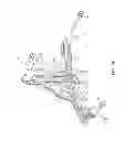 Fig. 08 - Power actuated wheel clamp