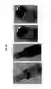 Fig. 19 - Power actuated wheel clamp