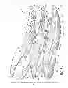 Fig. 08 - Sole structure with alternating spring and damping layers